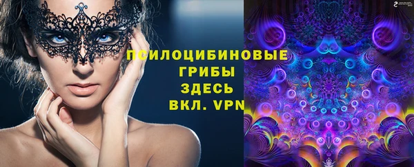 сатива Балабаново