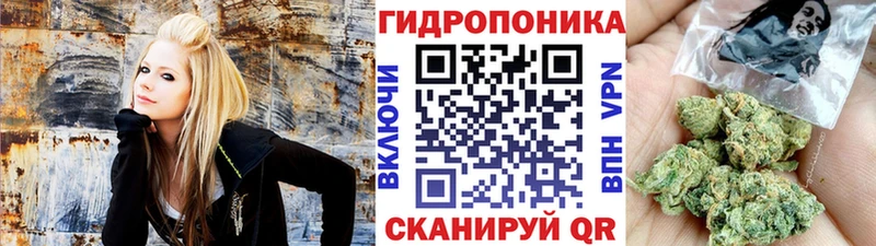 Марихуана THC 21%  где можно купить наркотик  Губаха 